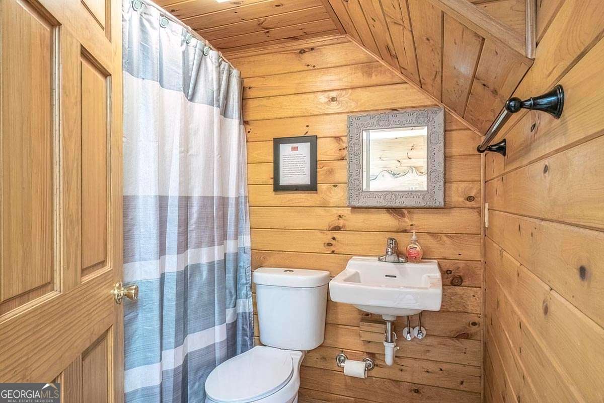 573 Hiawatha Trail Blue Ridge - 39