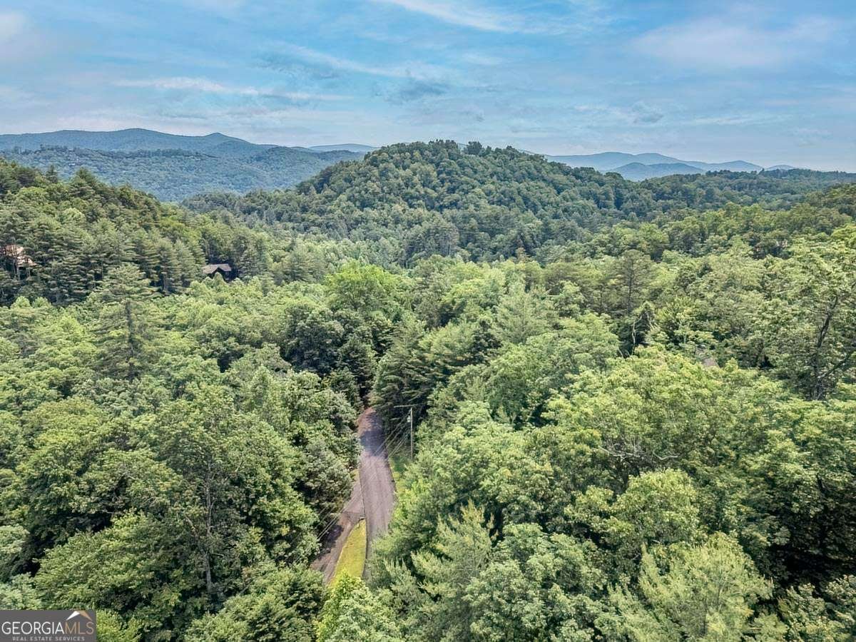 573 Hiawatha Trail Blue Ridge - 5