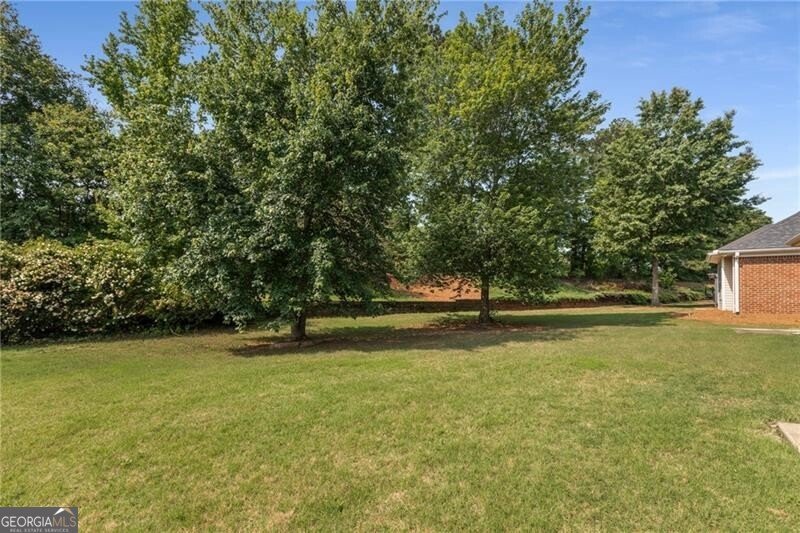 115 Pinnacle Lane McDonough - 33