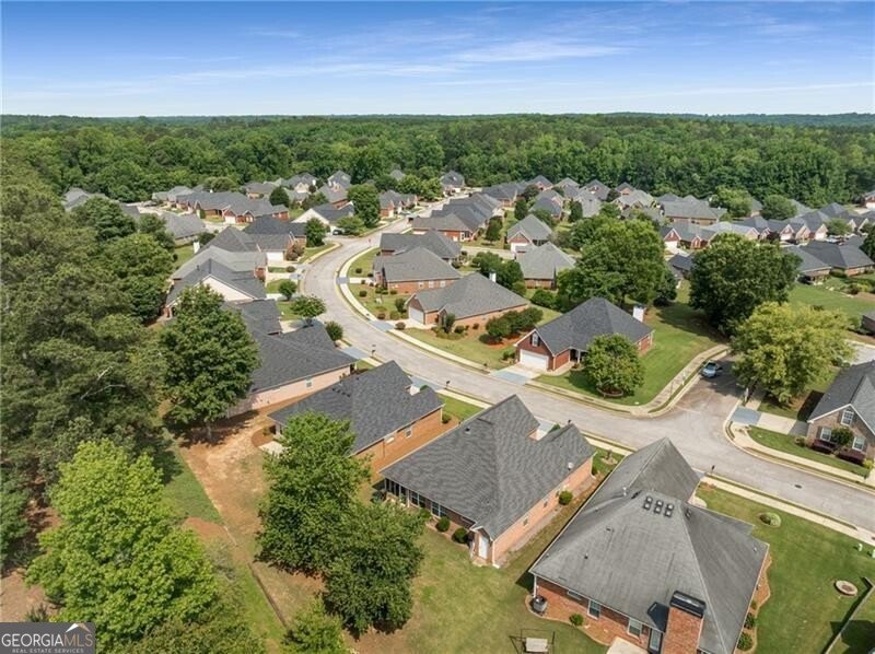 115 Pinnacle Lane McDonough - 35