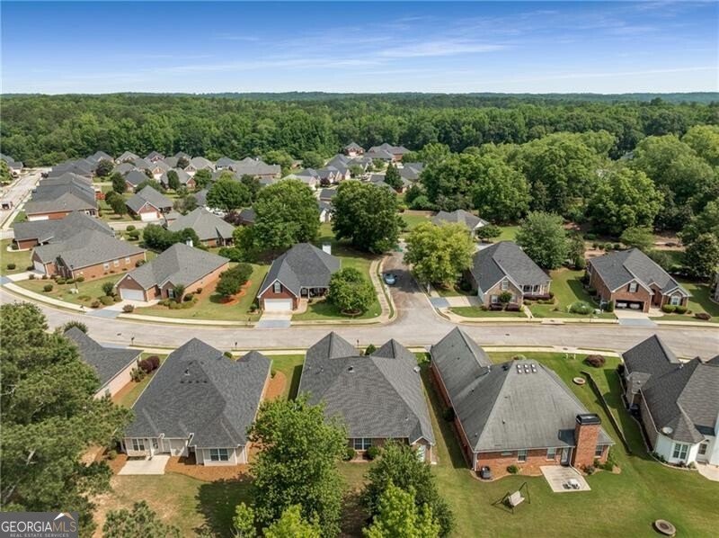 115 Pinnacle Lane McDonough - 36