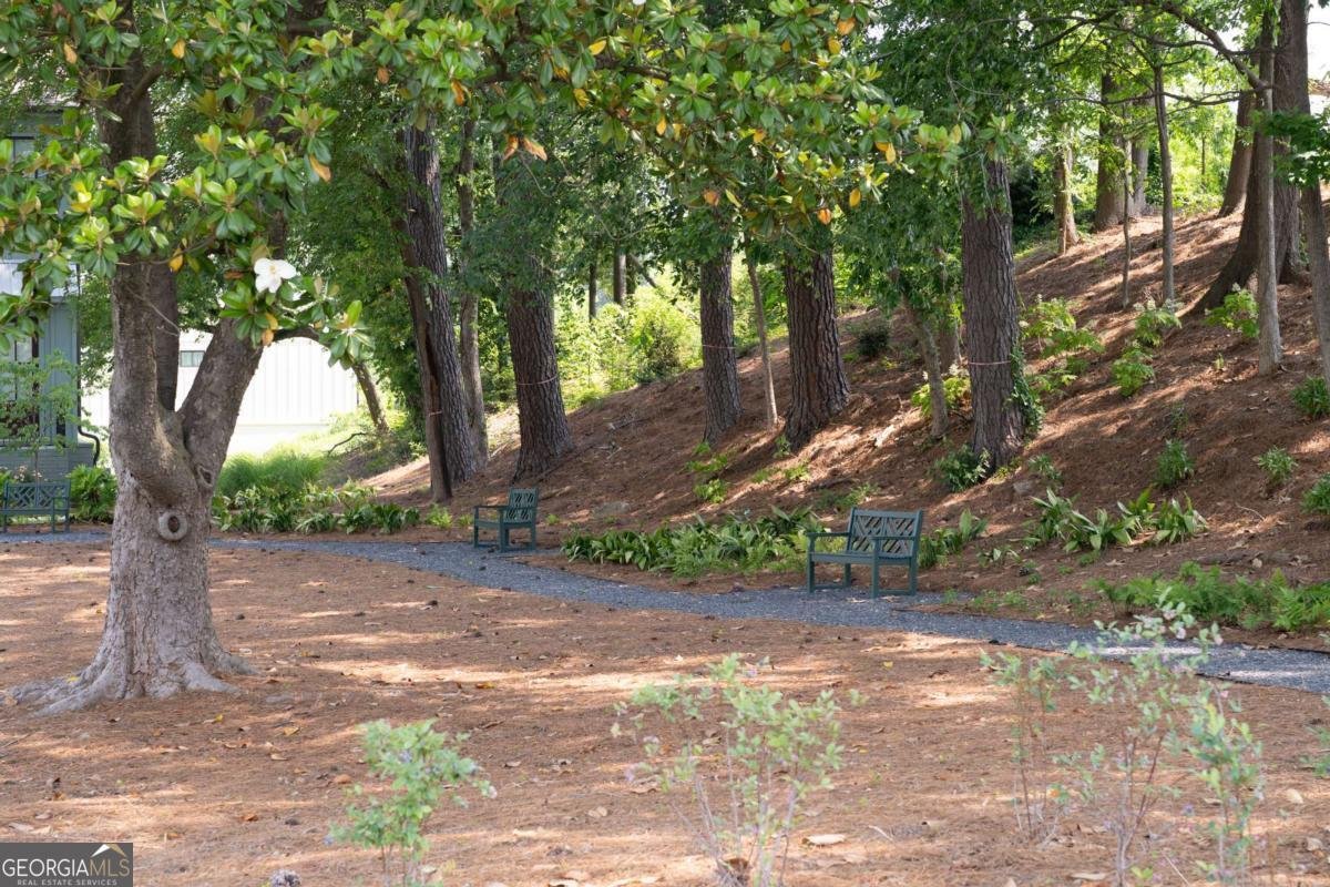 1247 Zucchini Circle Atlanta - 23
