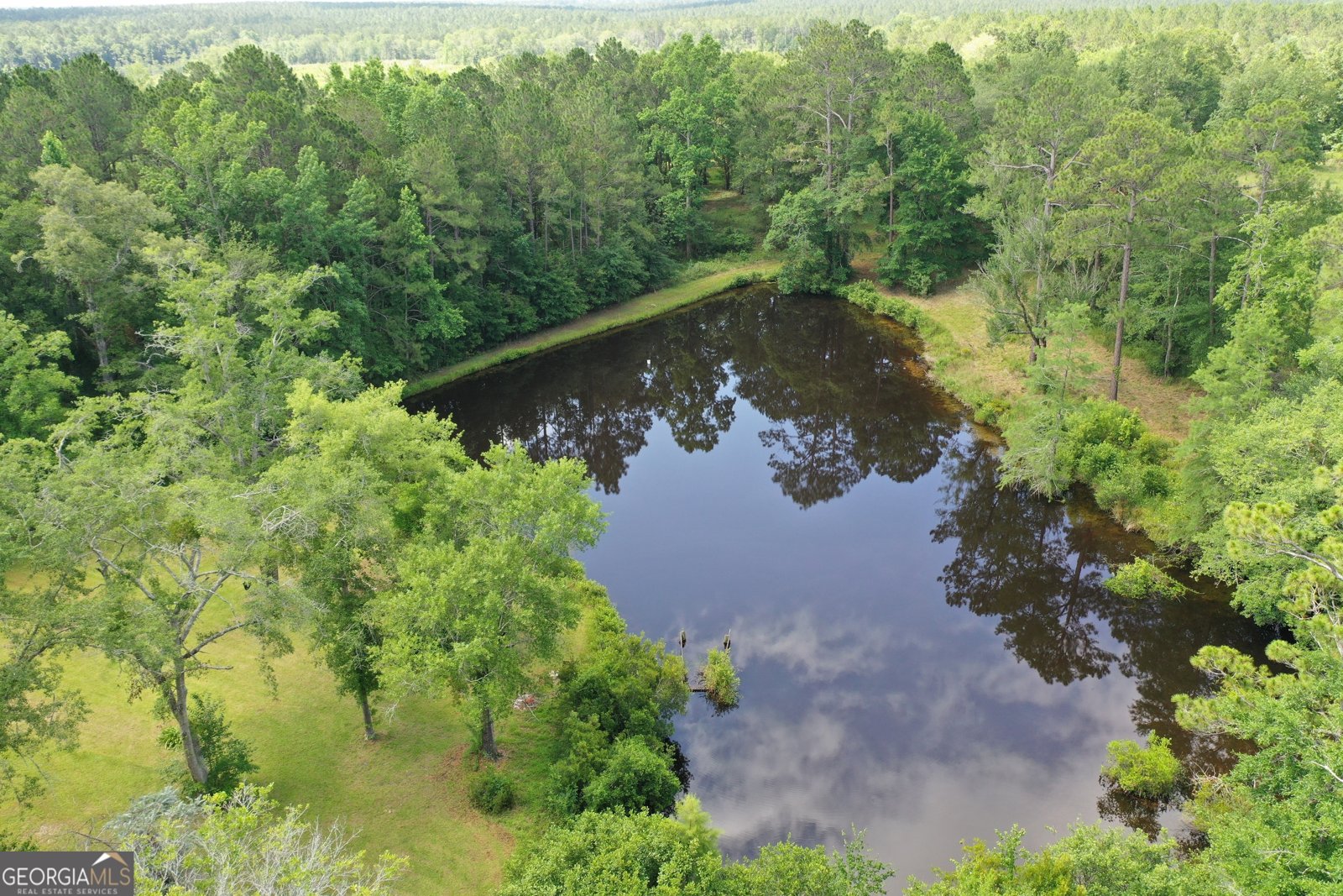 1095 Jacksonville Highway Fitzgerald - 1