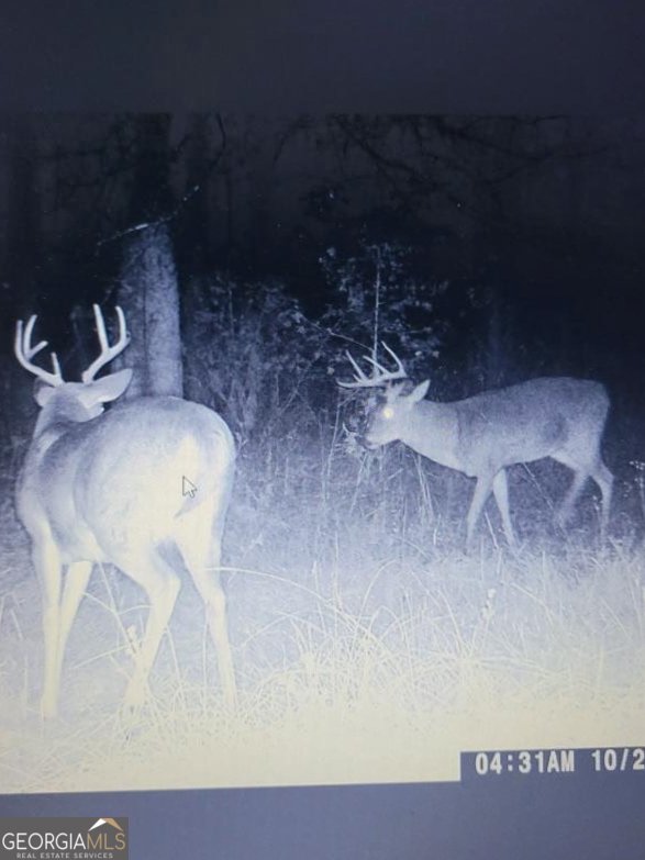 1095 Jacksonville Highway Fitzgerald - 34