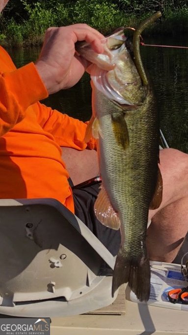 1095 Jacksonville Highway Fitzgerald - 36