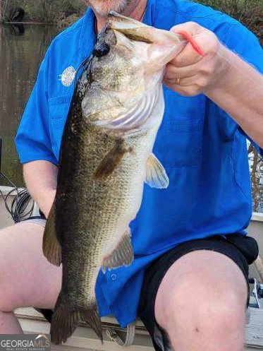 1095 Jacksonville Highway Fitzgerald - 37