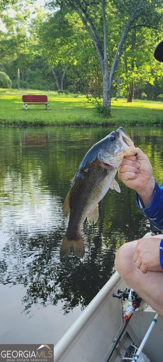 1095 Jacksonville Highway Fitzgerald - 41