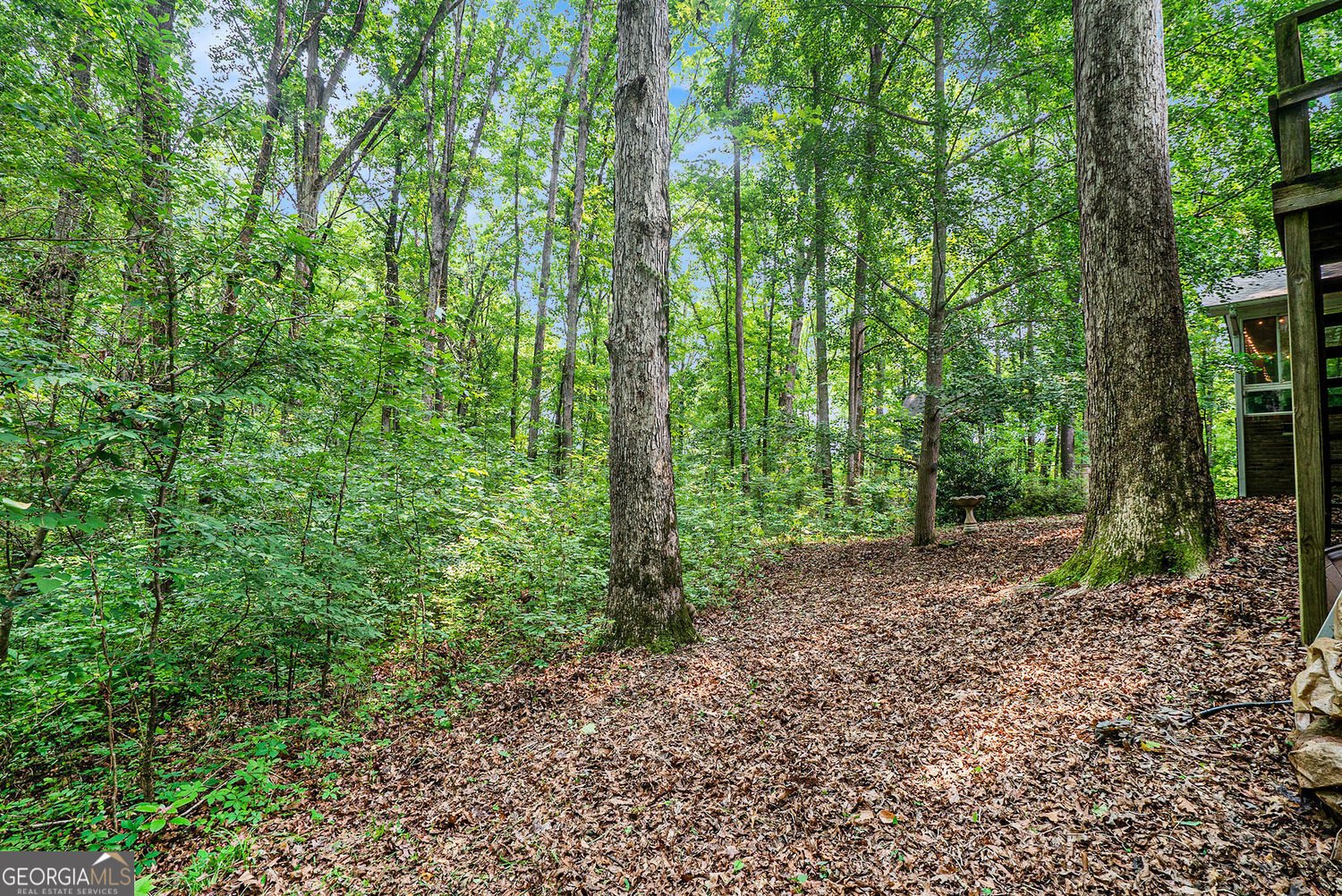 1310 Chilton Woods Road Rutledge - 32