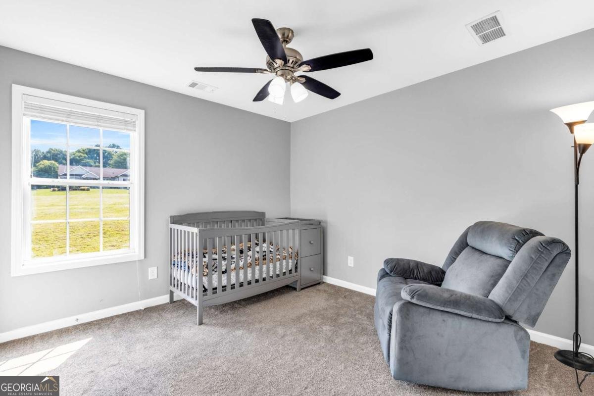 301 Lane Drive Winder - 20