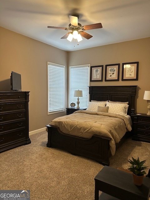 2743 Edgewater Court Jonesboro - 22