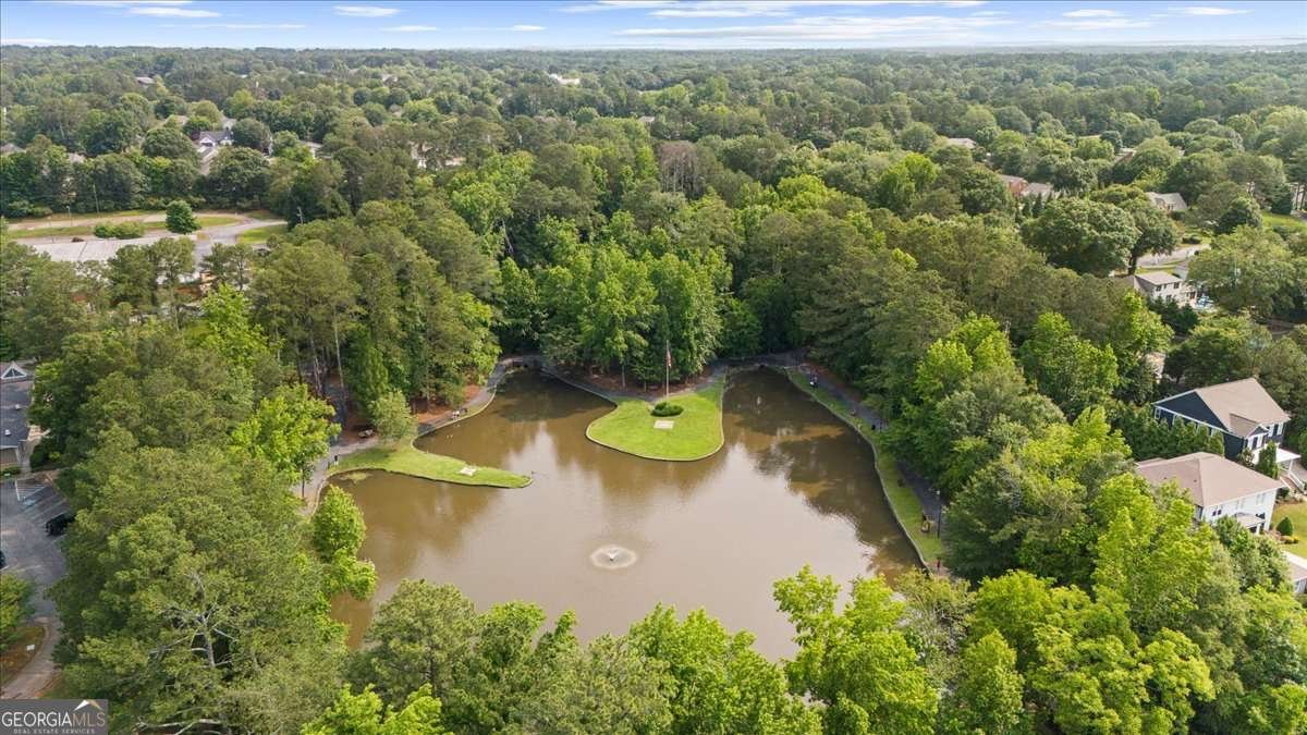 270 Park Bridge Lane Roswell - 58
