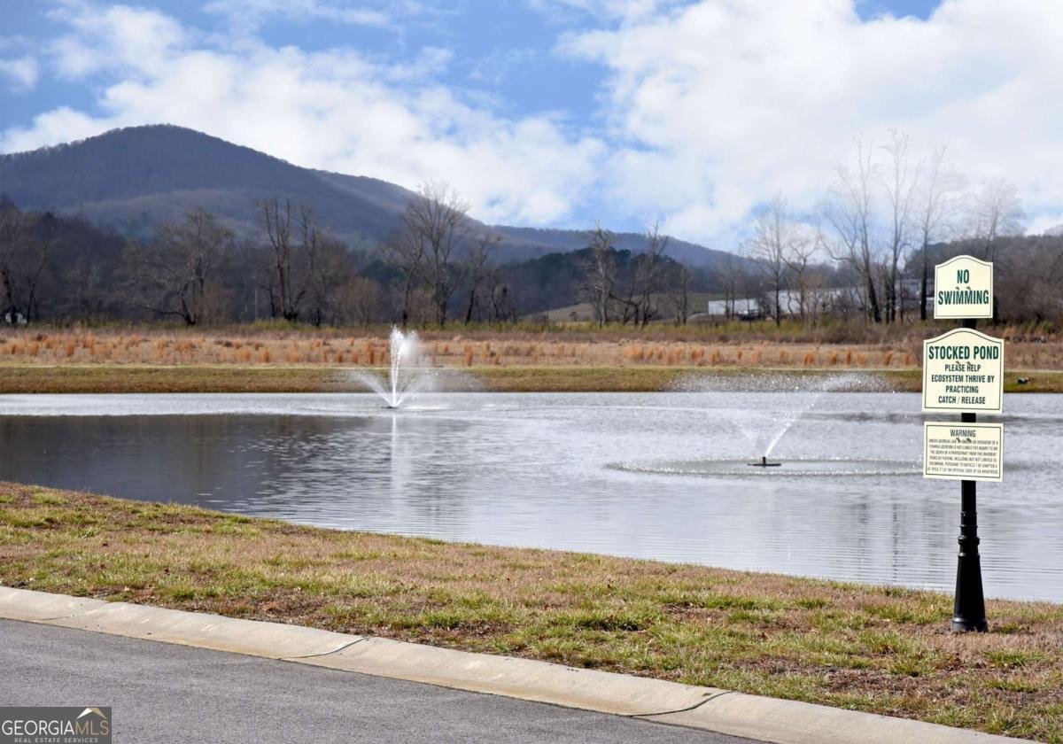 101 Porch View Circle Blairsville - 24