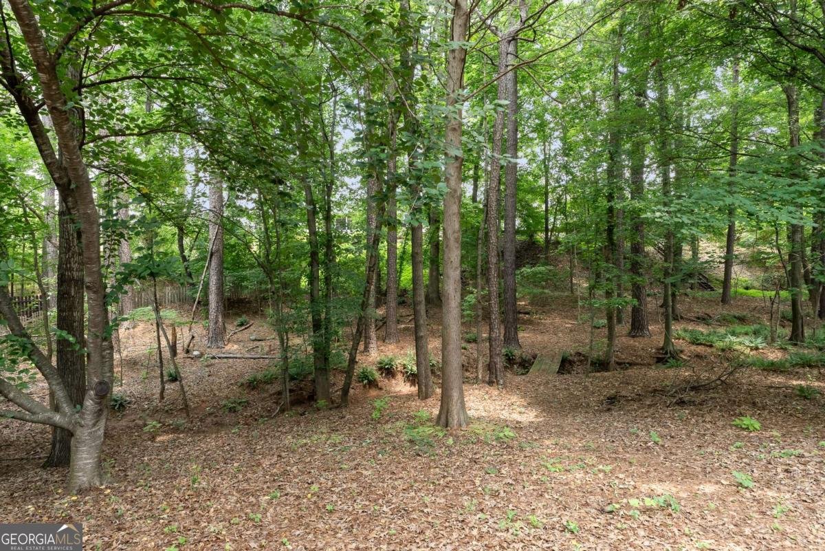 3335 Maple Terrace Drive Suwanee - 65