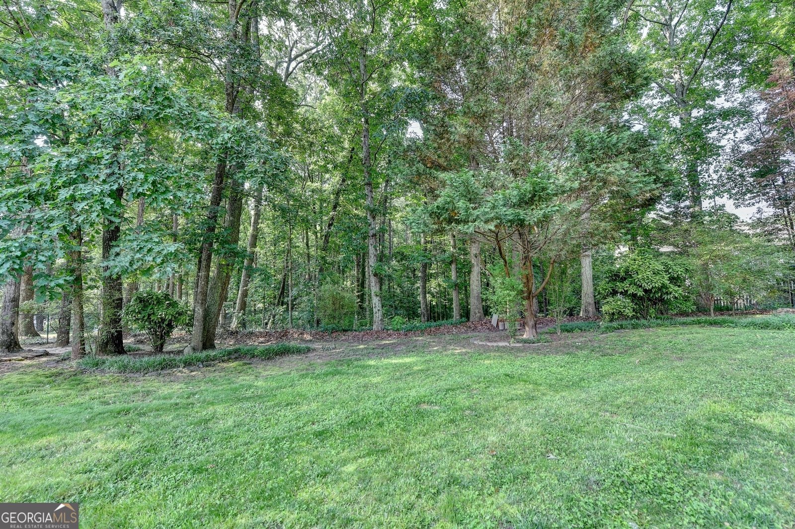 1610 Windsong Park Drive Dacula - 49
