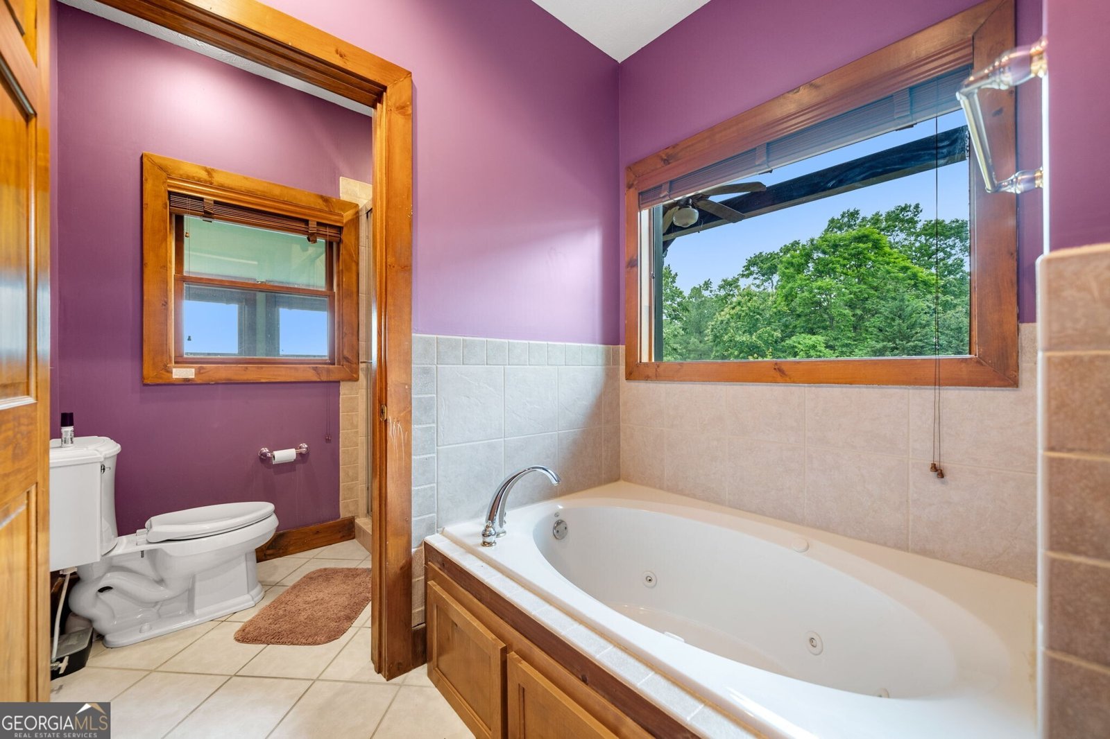 1158 Scenic Mountain View Road Blue Ridge - 42