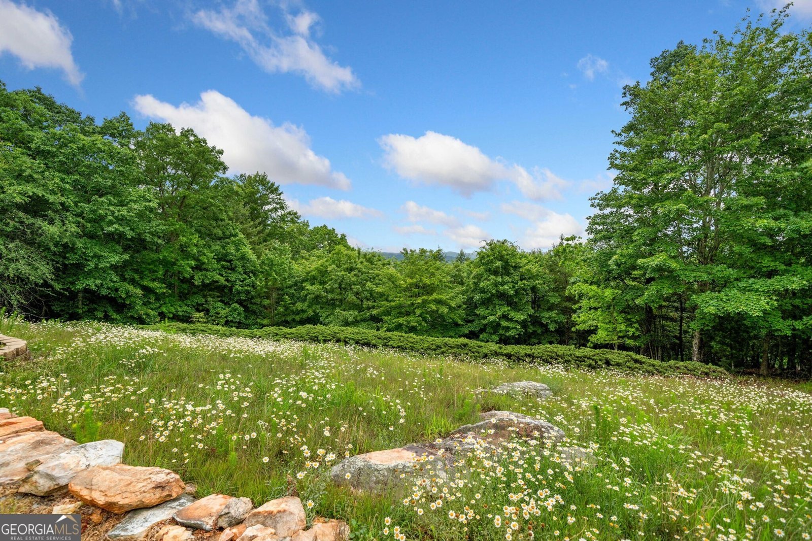 1158 Scenic Mountain View Road Blue Ridge - 72