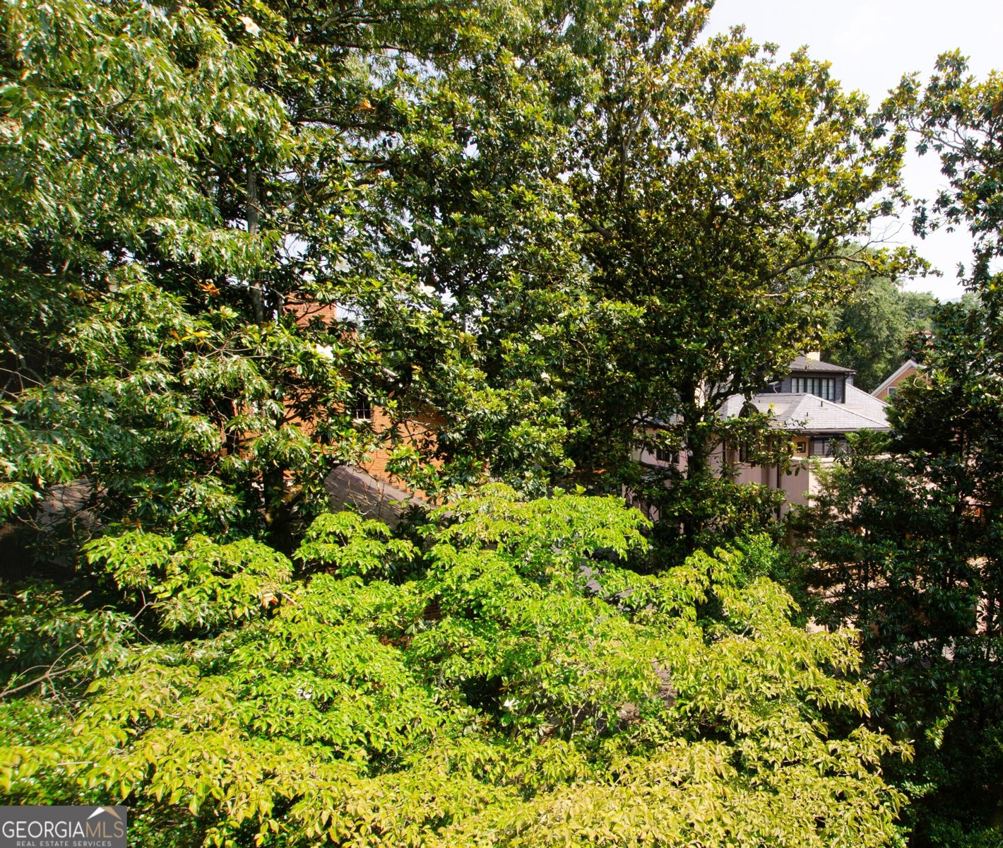 2734 Peachtree Road Atlanta - 9