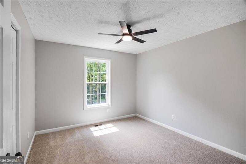 232 Barrett Springs Way Canton - 14
