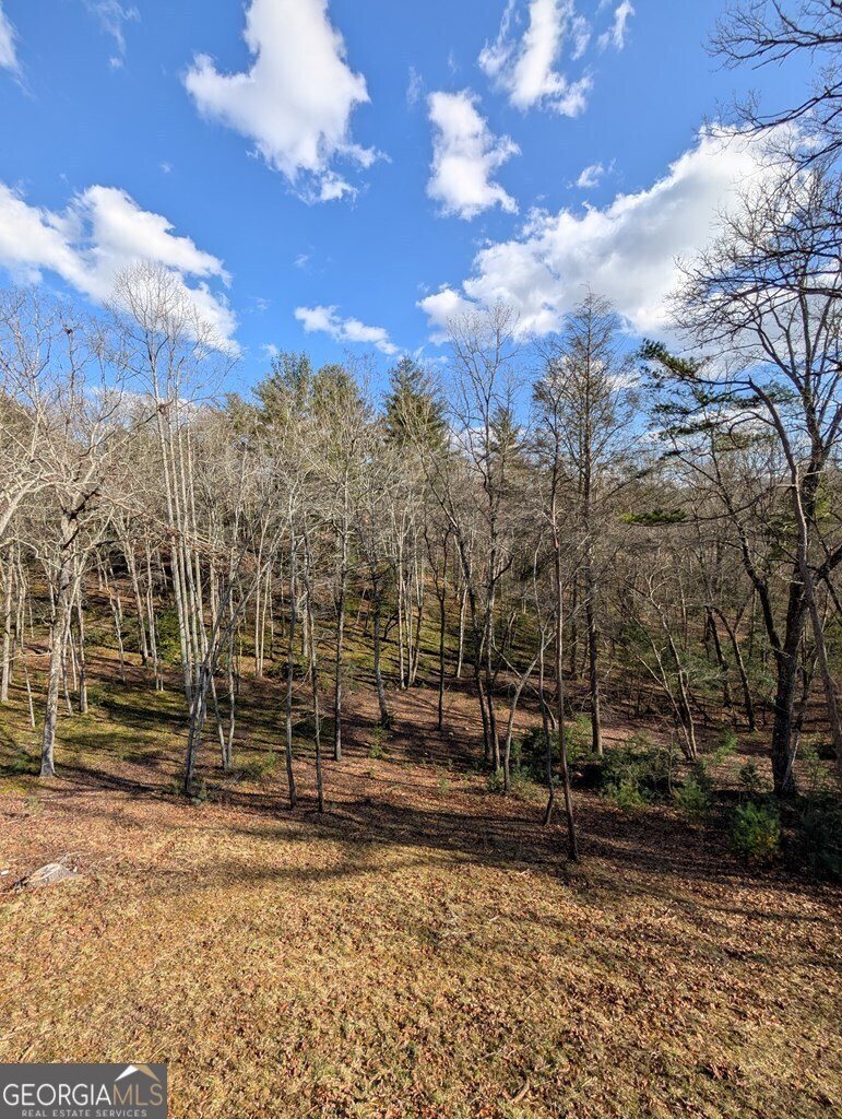 181 Charles Lane Morganton - 37