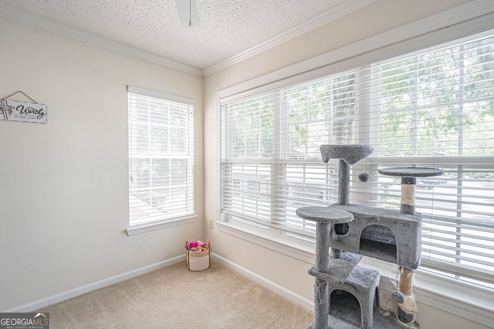 12300 Apache Avenue Savannah - 13