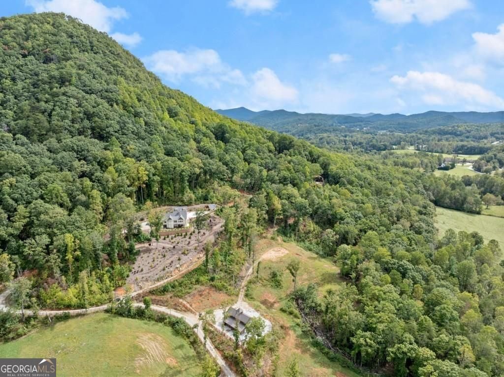 146 David Drive Tiger - 97