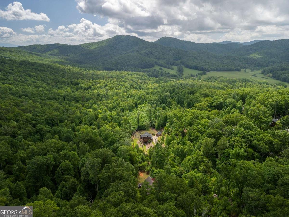 74 Shepherds Trail Morganton - 43