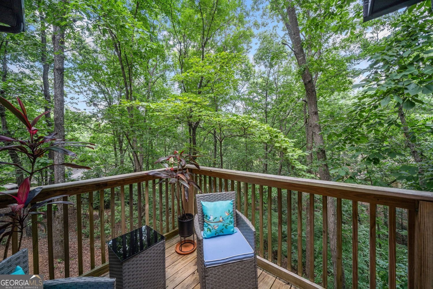 545 Matterhorn Way Alpharetta - 48