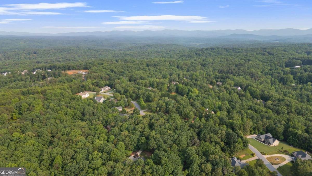 168 Eagle Pointe Drive Dahlonega - 10