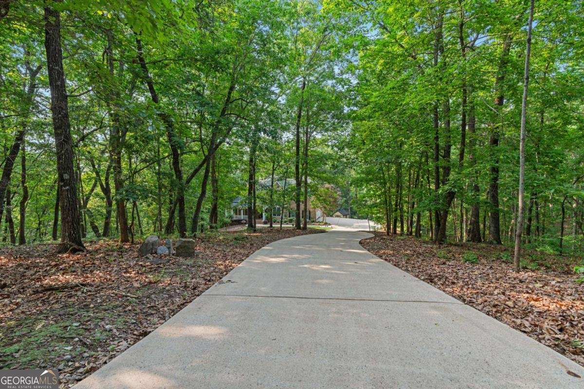 168 Eagle Pointe Drive Dahlonega - 11