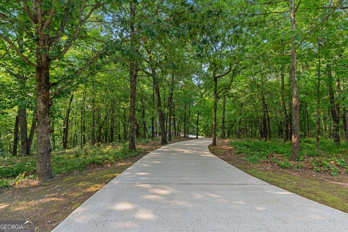 168 Eagle Pointe Drive Dahlonega - 58