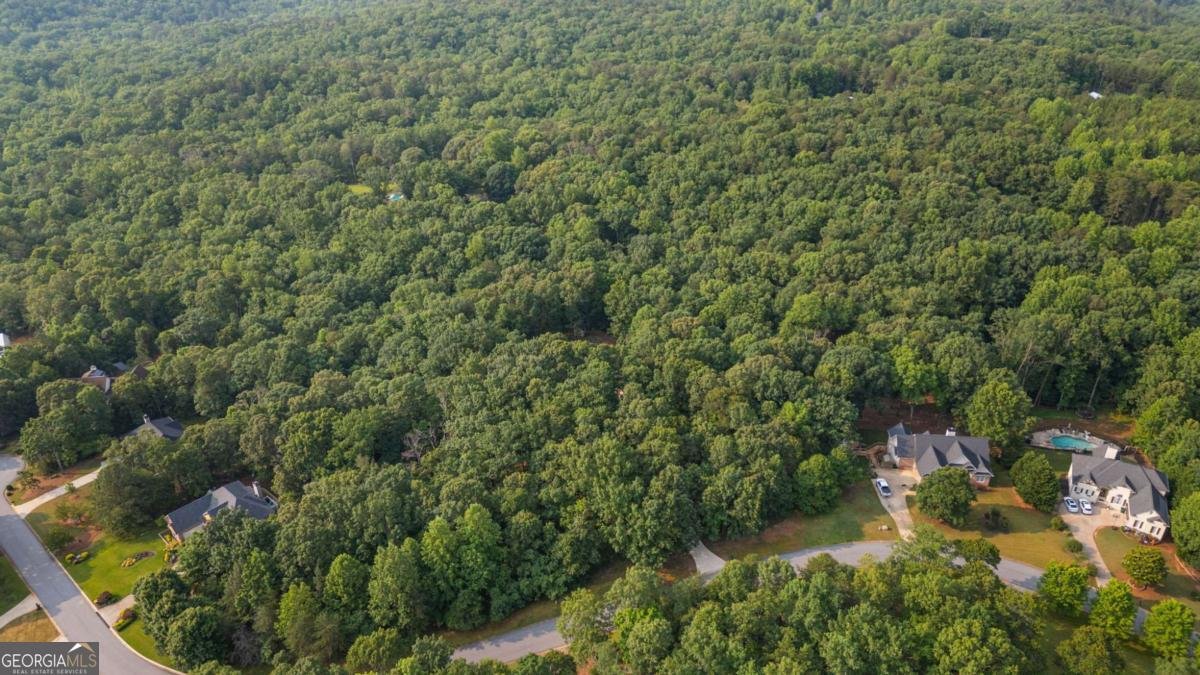 168 Eagle Pointe Drive Dahlonega - 59