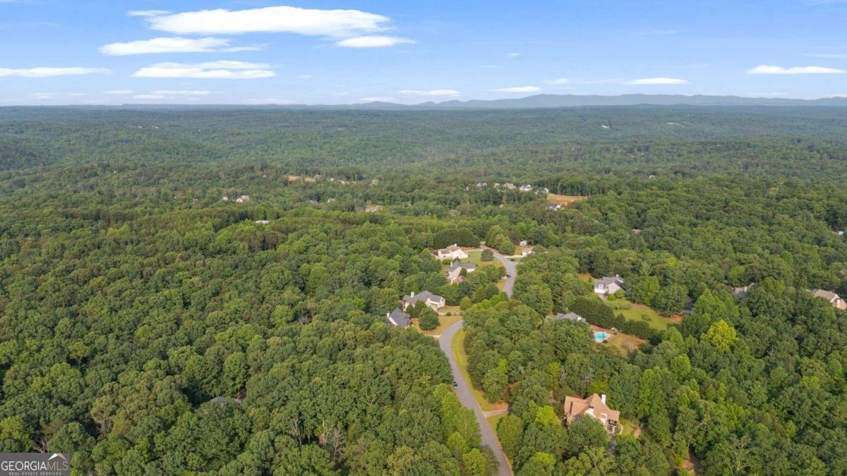 168 Eagle Pointe Drive Dahlonega - 61