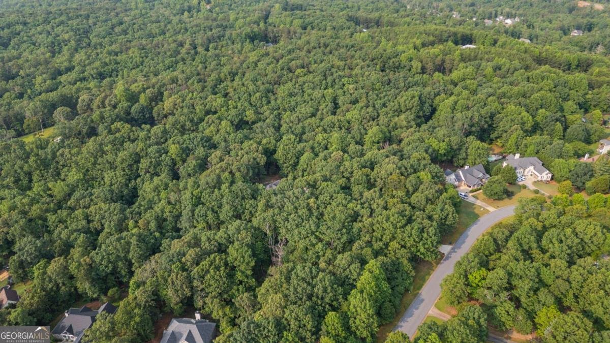 168 Eagle Pointe Drive Dahlonega - 62