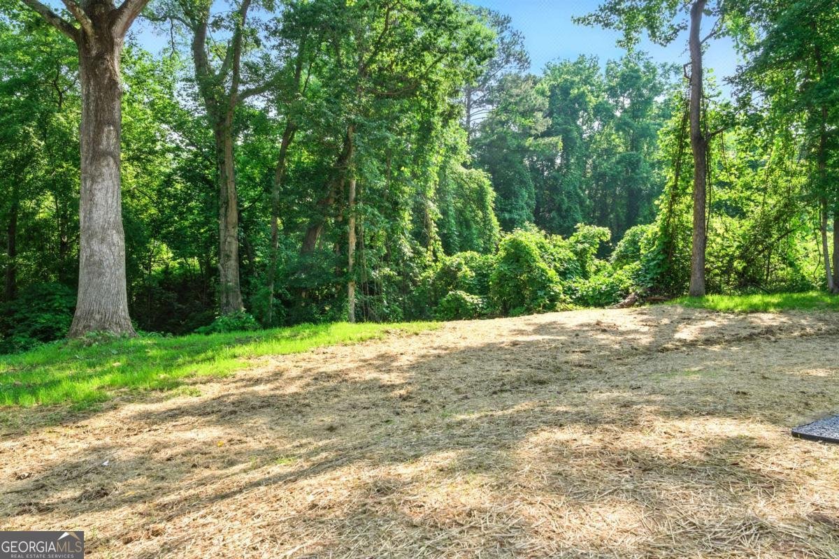 124 Sims Drive Hiram - 19