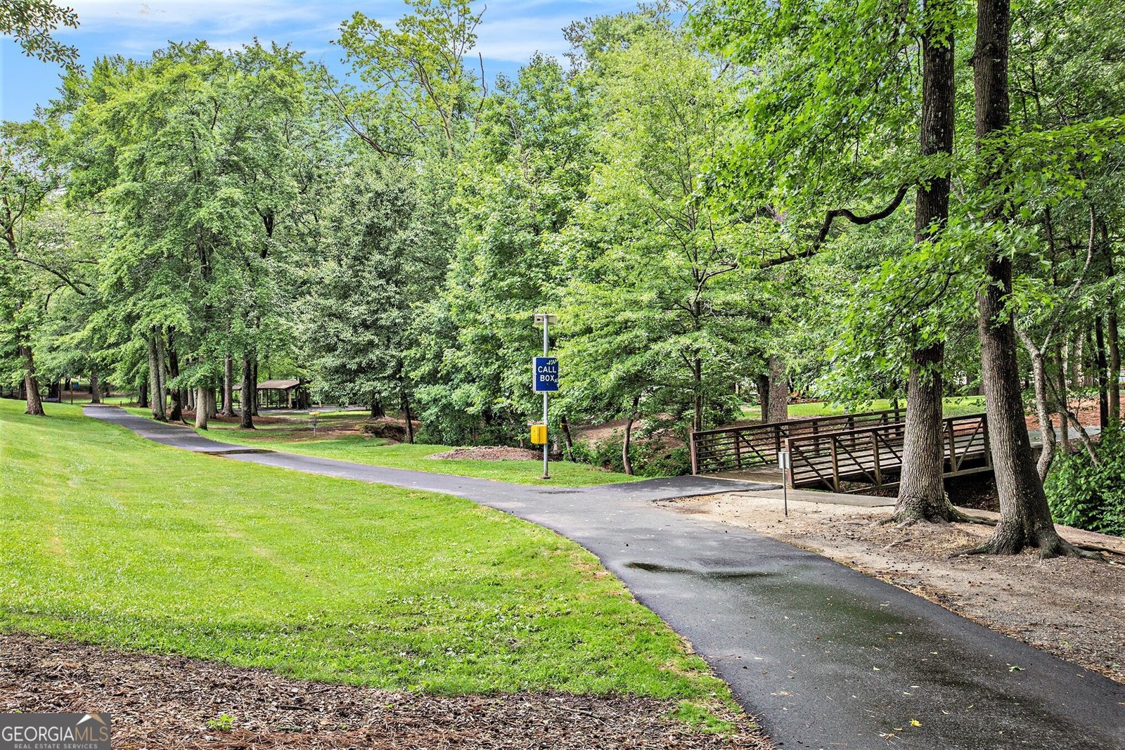 114 Emily Lane Alpharetta - 38