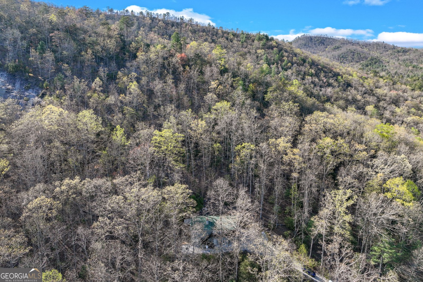 243 Degroff Lane Rabun Gap - 38