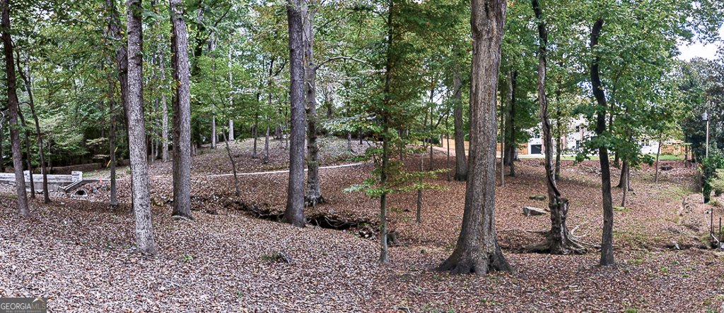 4395 Woodland Brook Drive Atlanta - 7