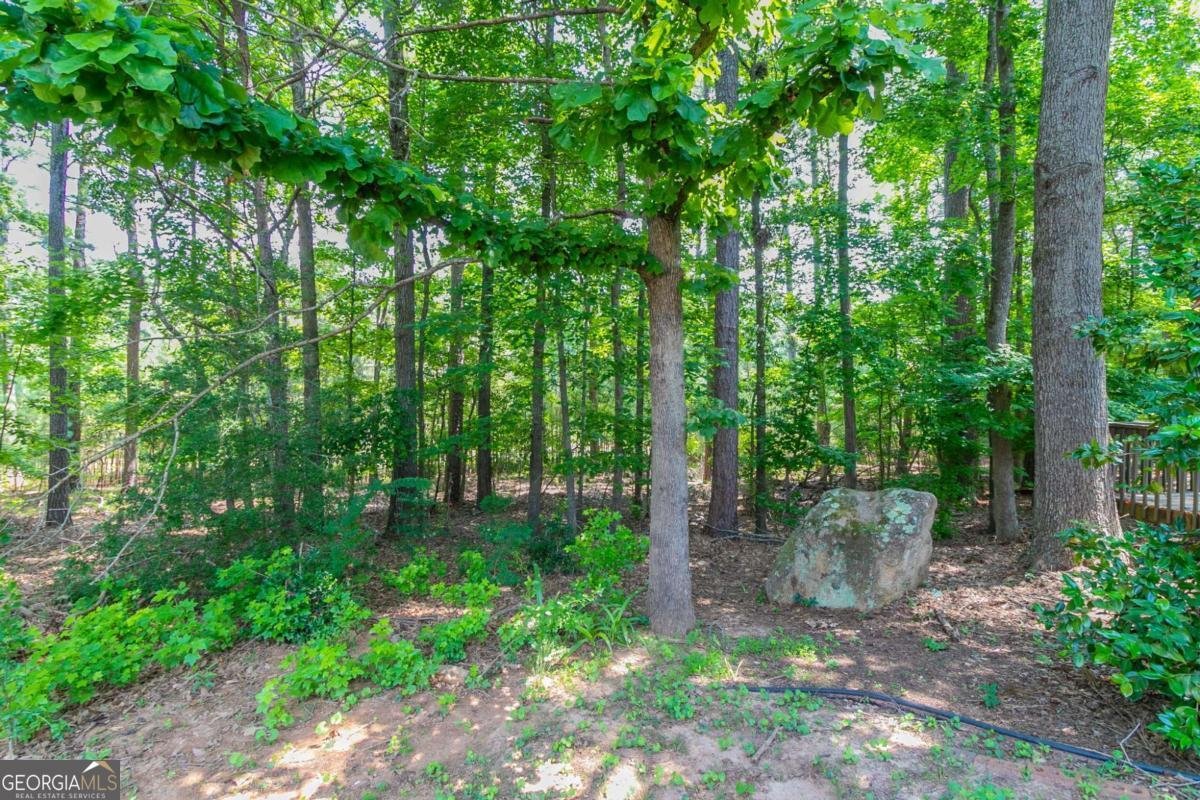 12015 Harbour Town Parkway Fayetteville - 35