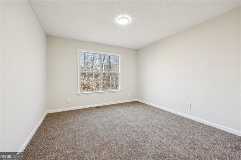 245 LONDON Lane Hiram - 23