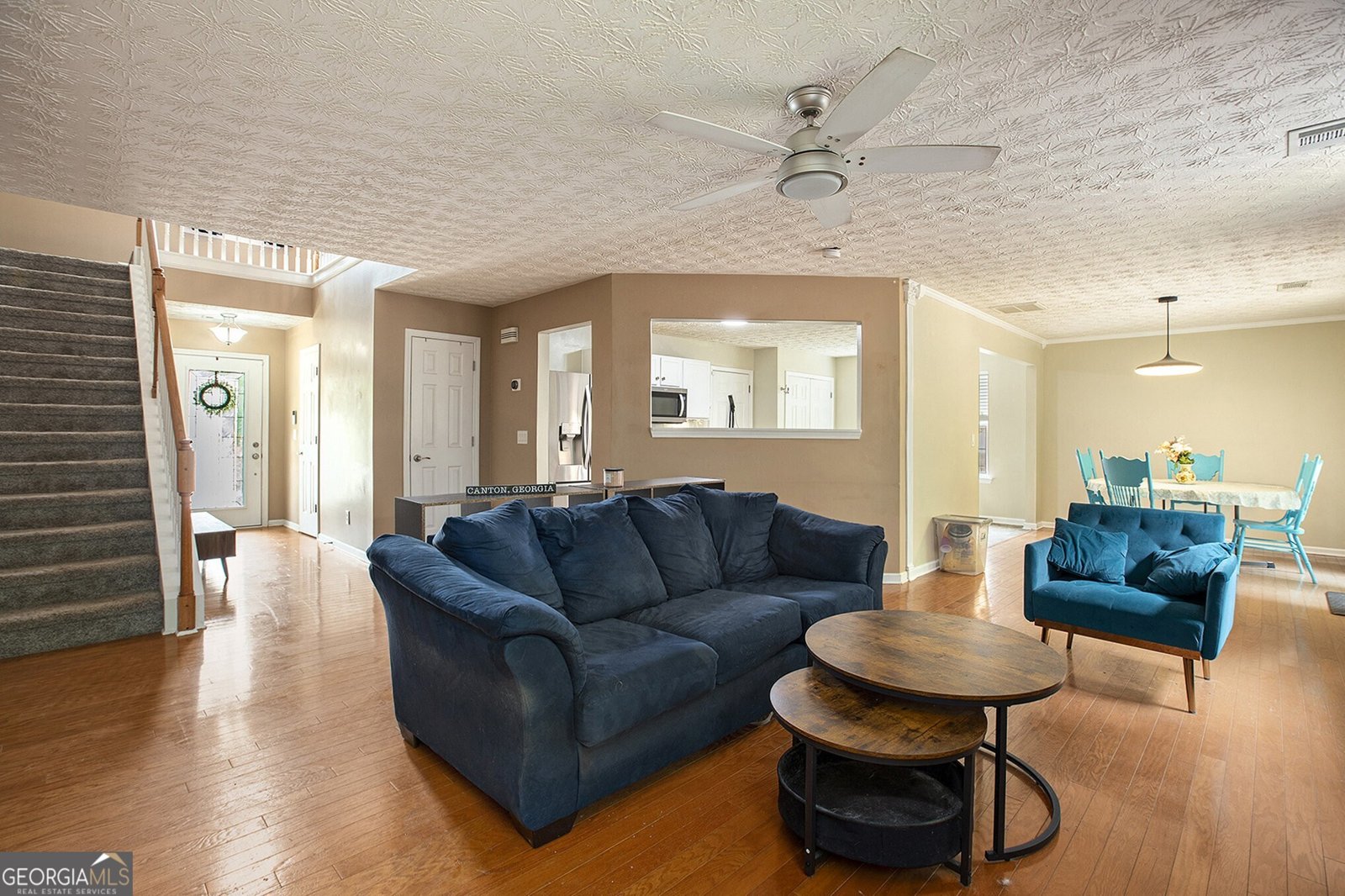 325 Meadows Lane Canton - 10