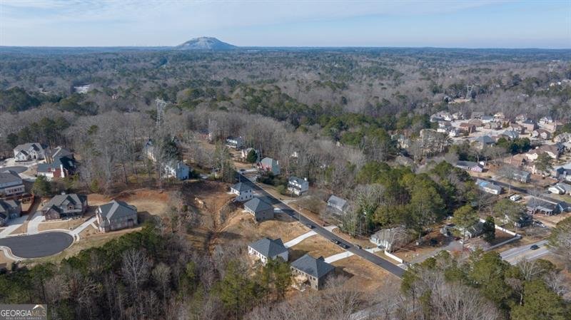 4410 Ross Estates Court Snellville - 75