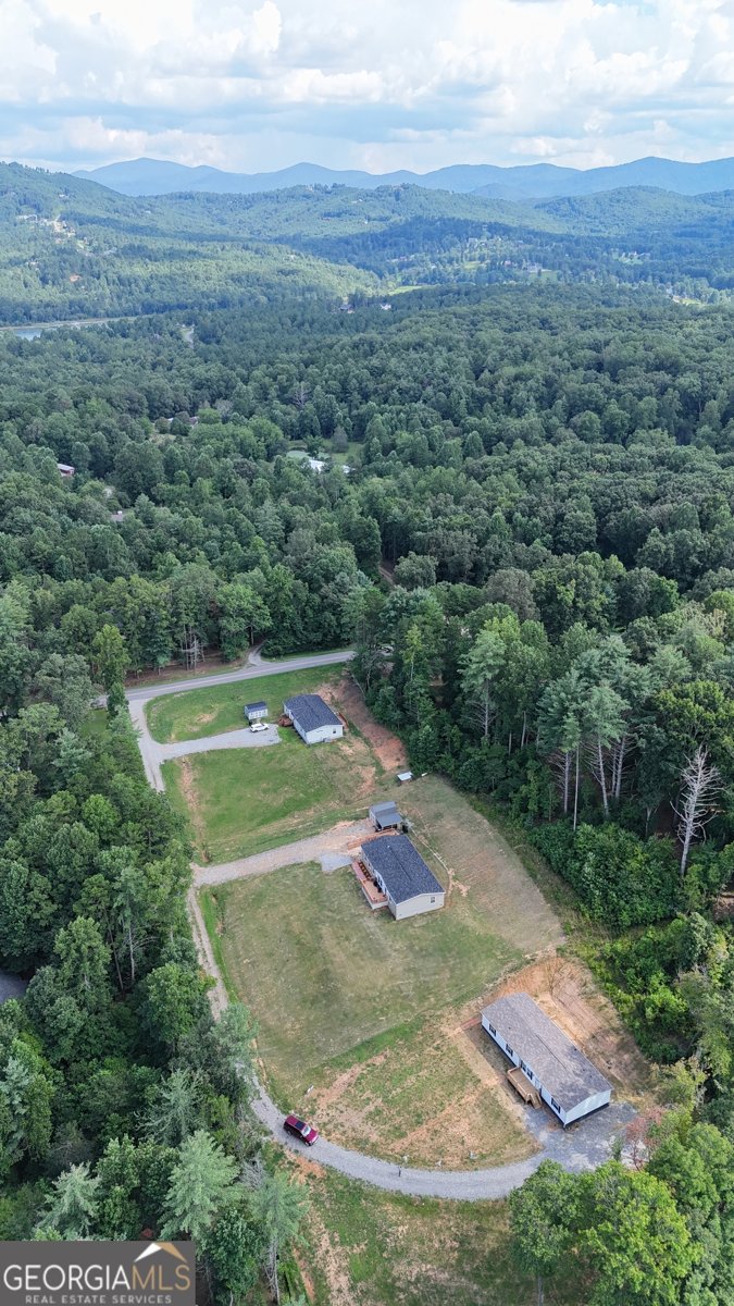 79 Jackobean Drive Blairsville - 60