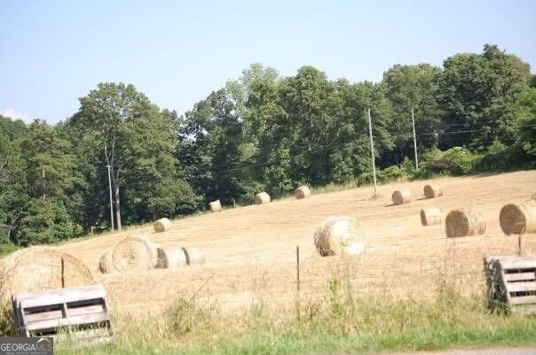 141 Holcomb SPUR Adairsville - 4