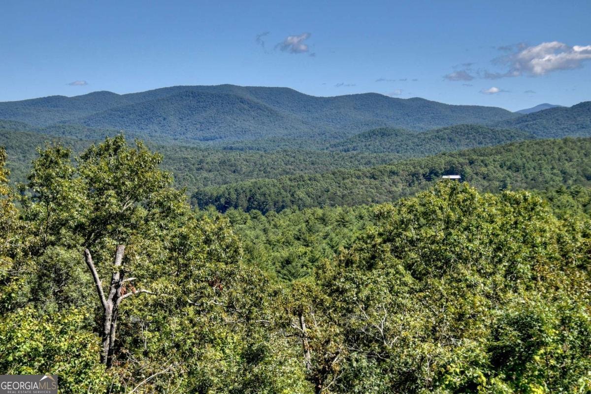 316 Blue Sky Drive Blue Ridge - 4