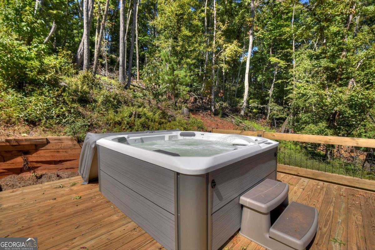 316 Blue Sky Drive Blue Ridge - 60