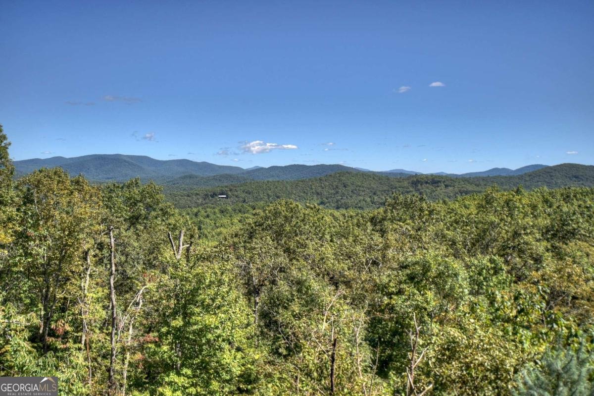 316 Blue Sky Drive Blue Ridge - 64