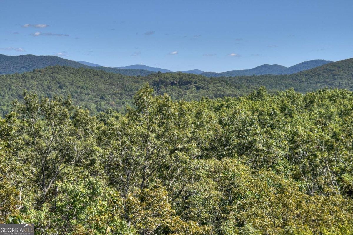 316 Blue Sky Drive Blue Ridge - 65