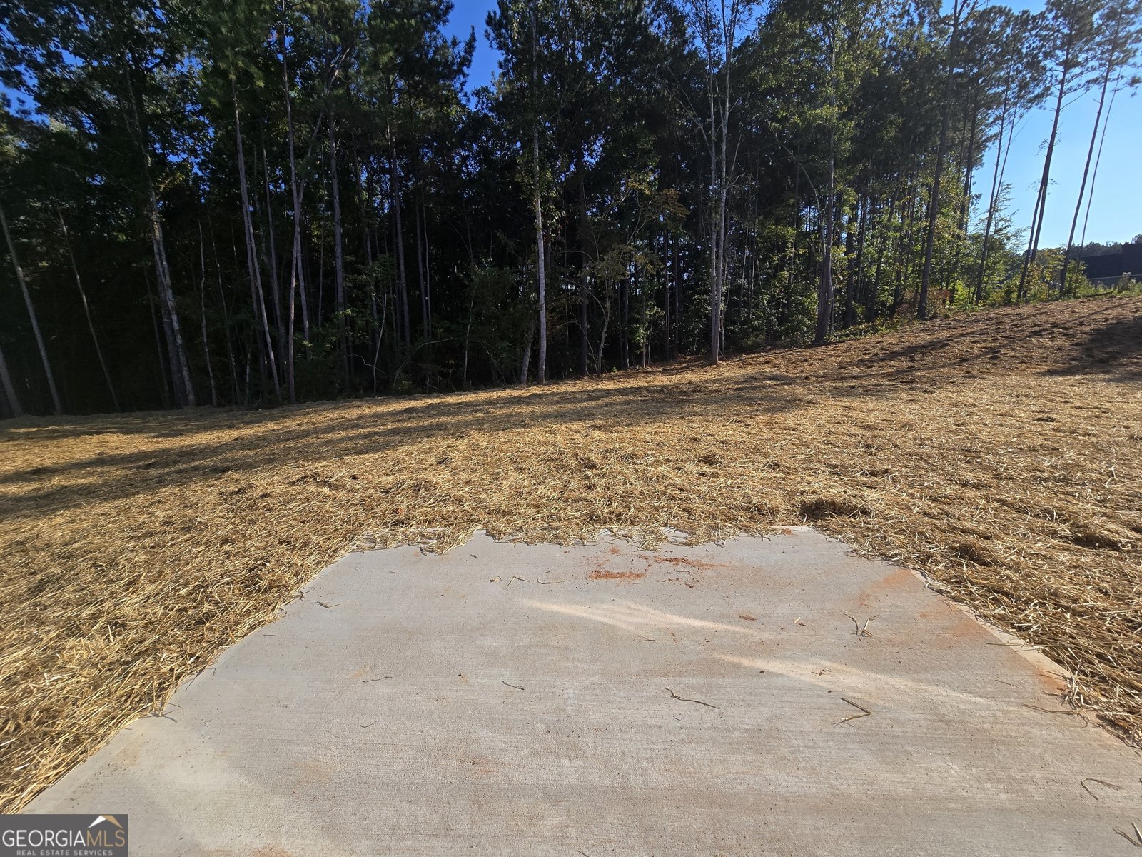 82 Armstrong Drive Mansfield - 17