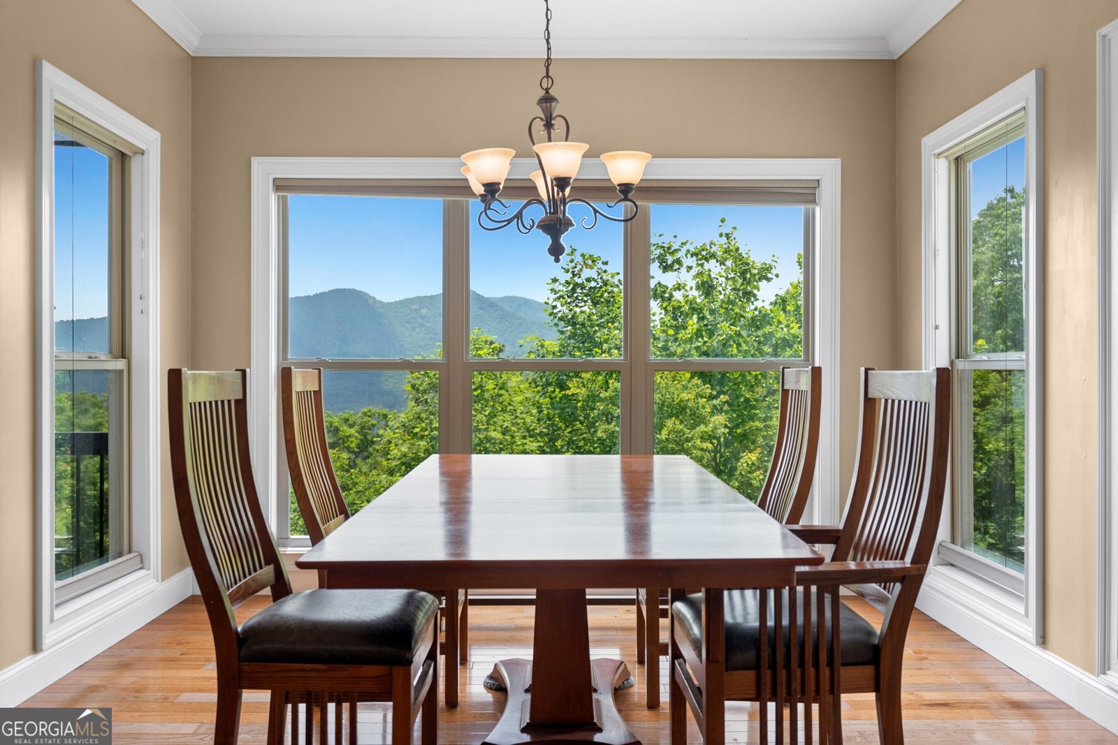 301 Shadow Mountain Road Dillard - 12