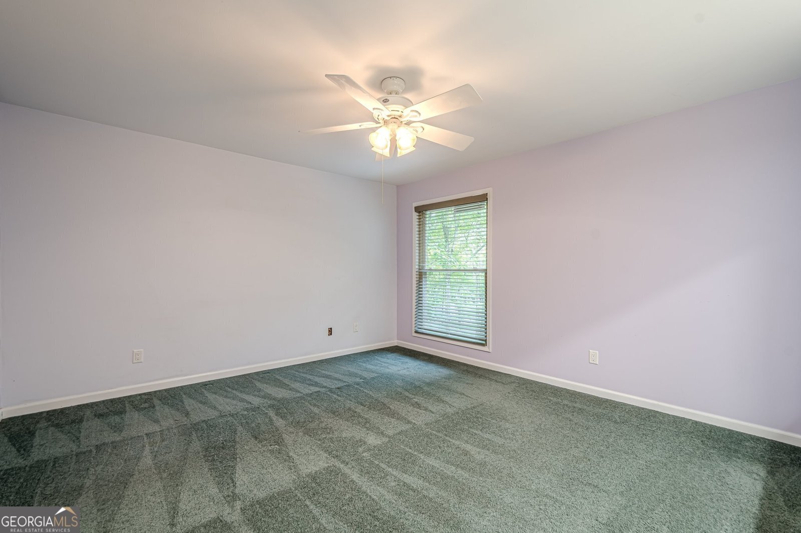 102 JACK PINE Court Waleska - 25